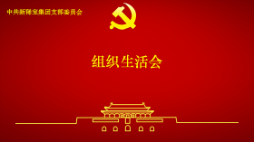 新稀寶黨支部召開2024年度組織生活會(huì)及民主評議黨員會(huì)議