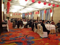 2015 積蓄力量，2016 大勝歸來